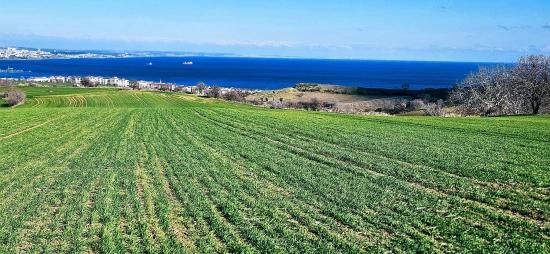 Tekirdağ Barbarosta 75 Adet Villa Projesine Uygun Full Deniz Ve Doğa Manzaralı Arazi