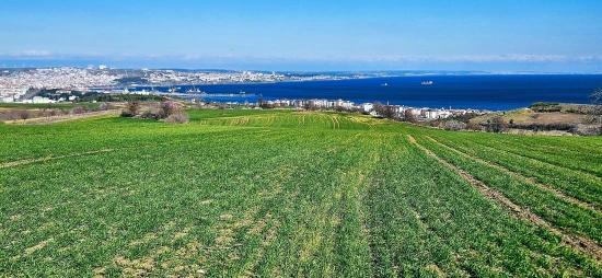 Tekirdağ Barbarosta 75 Adet Villa Projesine Uygun Full Deniz Ve Doğa Manzaralı Arazi