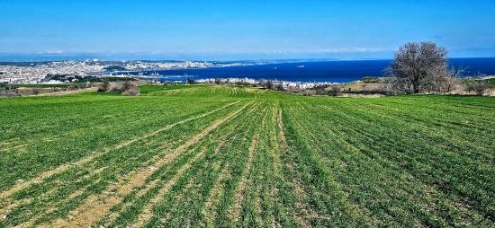 Tekirdağ Barbarosta 75 Adet Villa Projesine Uygun Full Deniz Ve Doğa Manzaralı Arazi