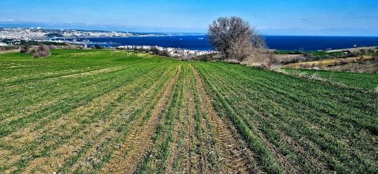 Tekirdağ Barbarosta 75 Adet Villa Projesine Uygun Full Deniz Ve Doğa Manzaralı Arazi