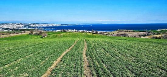 Tekirdağ Barbarosta 75 Adet Villa Projesine Uygun Full Deniz Ve Doğa Manzaralı Arazi