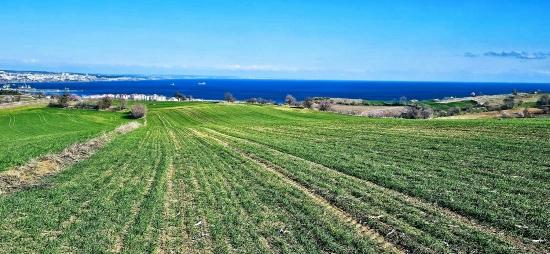 Tekirdağ Barbarosta 75 Adet Villa Projesine Uygun Full Deniz Ve Doğa Manzaralı Arazi