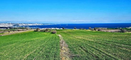 Tekirdağ Barbarosta 75 Adet Villa Projesine Uygun Full Deniz Ve Doğa Manzaralı Arazi