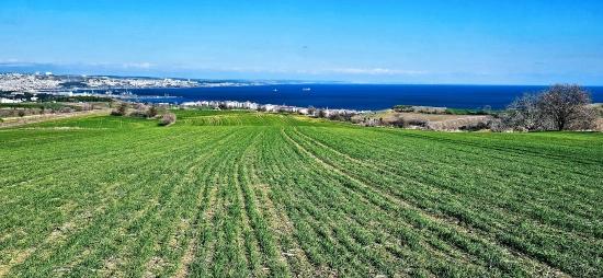 Tekirdağ Barbarosta 75 Adet Villa Projesine Uygun Full Deniz Ve Doğa Manzaralı Arazi