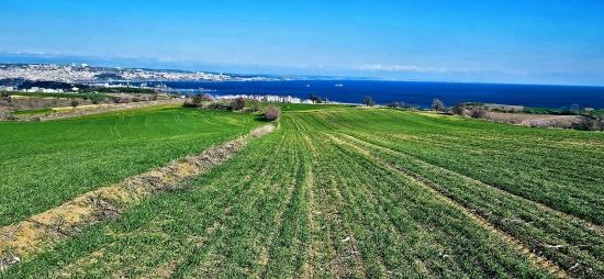 Tekirdağ Barbarosta 75 Adet Villa Projesine Uygun Full Deniz Ve Doğa Manzaralı Arazi