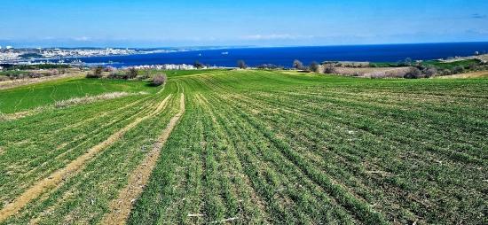 Tekirdağ Barbarosta 75 Adet Villa Projesine Uygun Full Deniz Ve Doğa Manzaralı Arazi