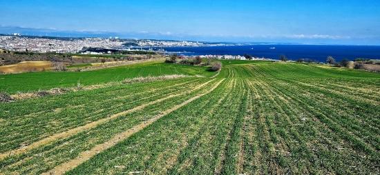 Tekirdağ Barbarosta 75 Adet Villa Projesine Uygun Full Deniz Ve Doğa Manzaralı Arazi