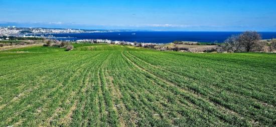 Tekirdağ Barbarosta 75 Adet Villa Projesine Uygun Full Deniz Ve Doğa Manzaralı Arazi