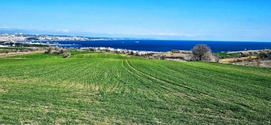 Tekirdağ Barbarosta 75 Adet Villa Projesine Uygun Full Deniz Ve Doğa Manzaralı Arazi