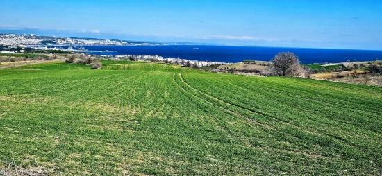 Tekirdağ Barbarosta 75 Adet Villa Projesine Uygun Full Deniz Ve Doğa Manzaralı Arazi