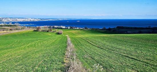 Tekirdağ Barbarosta 75 Adet Villa Projesine Uygun Full Deniz Ve Doğa Manzaralı Arazi