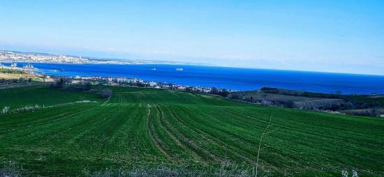 Tekirdağ Barbarosta 75 Adet Villa Projesine Uygun Full Deniz Ve Doğa Manzaralı Arazi