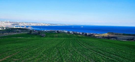 Tekirdağ Barbarosta 75 Adet Villa Projesine Uygun Full Deniz Ve Doğa Manzaralı Arazi