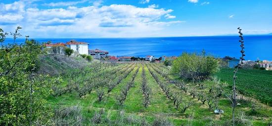 Eşsiz Full Deniz Ve Doğa Manzaralı 15 Adet Lüxs Villa Projeye Uygun Yer