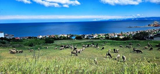 Eşsiz Full Deniz Ve Doğa Manzaralı 15 Adet Lüxs Villa Projeye Uygun Yer