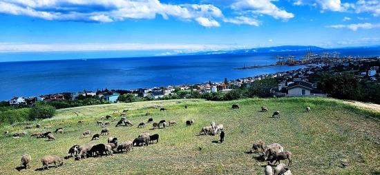 Eşsiz Full Deniz Ve Doğa Manzaralı 15 Adet Lüxs Villa Projeye Uygun Yer