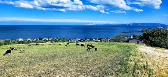 Eşsiz Full Deniz Ve Doğa Manzaralı 15 Adet Lüxs Villa Projeye Uygun Yer