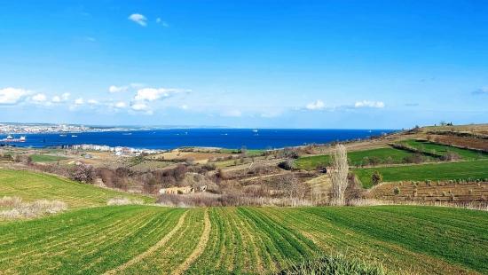 Tekirdağ Barbarosta Full Deniz Ve Doğa Manzaralı 8 Adet Villa Projesine Uygun Arazi