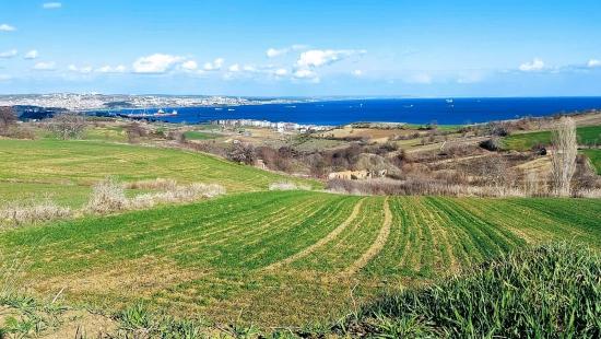 Tekirdağ Barbarosta Full Deniz Ve Doğa Manzaralı 8 Adet Villa Projesine Uygun Arazi