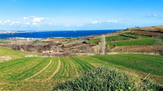 Tekirdağ Barbarosta Full Deniz Ve Doğa Manzaralı 8 Adet Villa Projesine Uygun Arazi