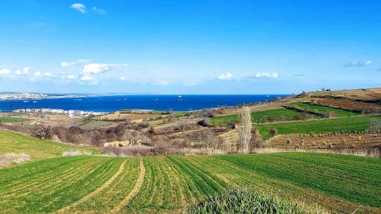 Tekirdağ Barbarosta Full Deniz Ve Doğa Manzaralı 8 Adet Villa Projesine Uygun Arazi