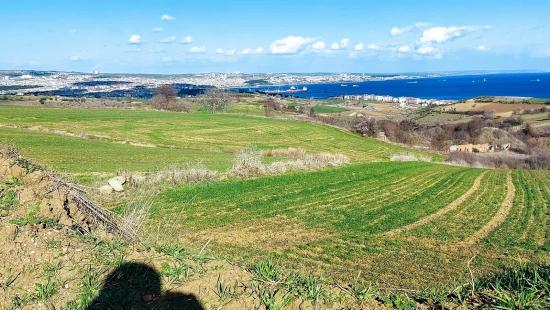 Tekirdağ Barbarosta Full Deniz Ve Doğa Manzaralı 8 Adet Villa Projesine Uygun Arazi