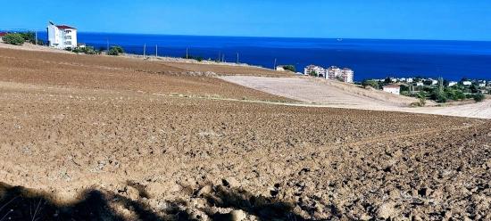 50 Dairelik Full Deniz Ve Doğa Manzaralı Kooparetif Ve Site Porojesine Uygun Arsa