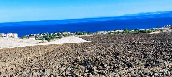50 Dairelik Full Deniz Ve Doğa Manzaralı Kooparetif Ve Site Porojesine Uygun Arsa