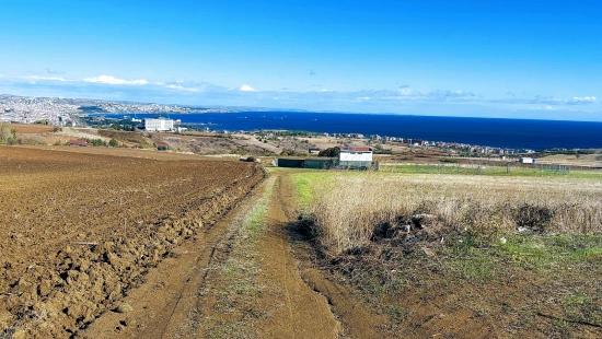 Harika Deniz Doğa Ve Şehir Manzaralı 32 Adet Lüxs Villa Projeye Uygun Fırsat Arazi