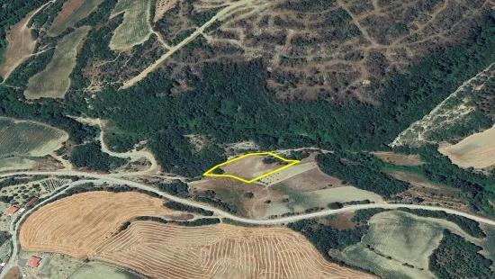 Müstakil Parsel Tek Tapu Hisseli Değil Köy İmar Sınırına Çok Yakın Acil Satılık Fırsat Ara