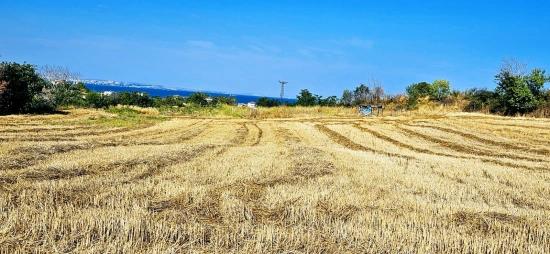 Asyaport Limanına Yakın 615 M2 Kelepir Köşe Arsa