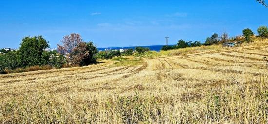 Asyaport Limanına Yakın 615 M2 Kelepir Köşe Arsa