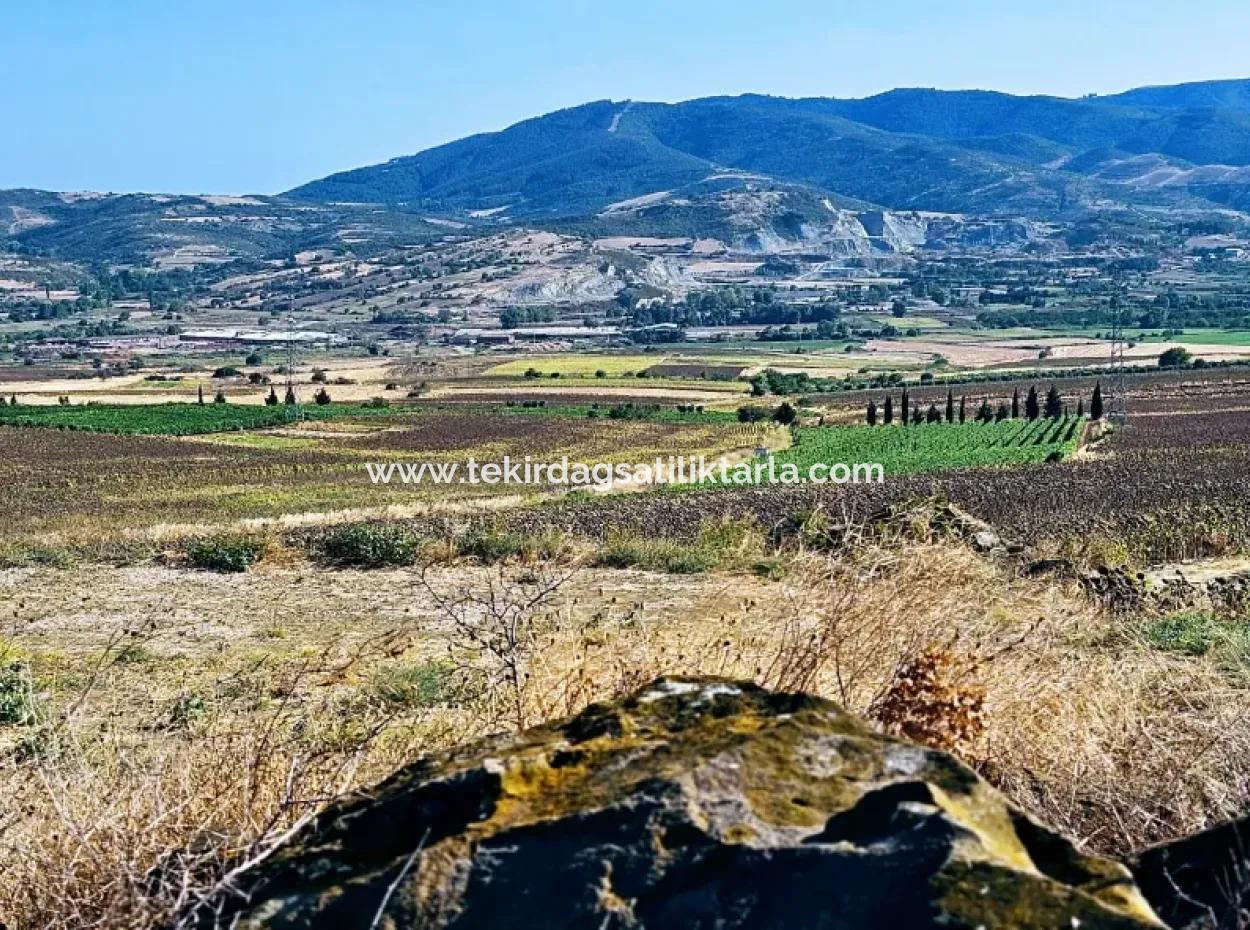 Asyaport Limanı Mevcut İmar Planı İçinde ( Ticari & Sanai ) Alanı Bölgedinde Acil Satılık 6.400 M2 Yatırım Fırsatı