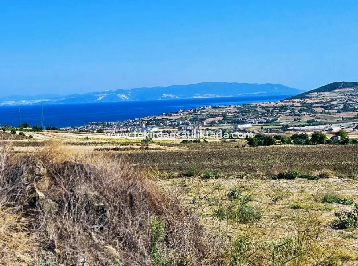 Asyaport Limanı Mevcut İmar Planı İçinde ( Ticari & Sanai ) Alanı Bölgedinde Acil Satılık 6.400 M2 Yatırım Fırsatı