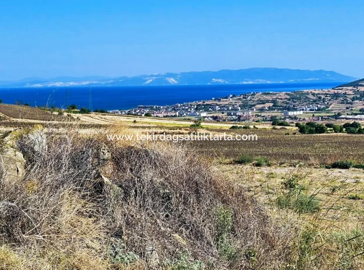 Asyaport Limanı Mevcut İmar Planı İçinde ( Ticari & Sanai ) Alanı Bölgedinde Acil Satılık 6.400 M2 Yatırım Fırsatı