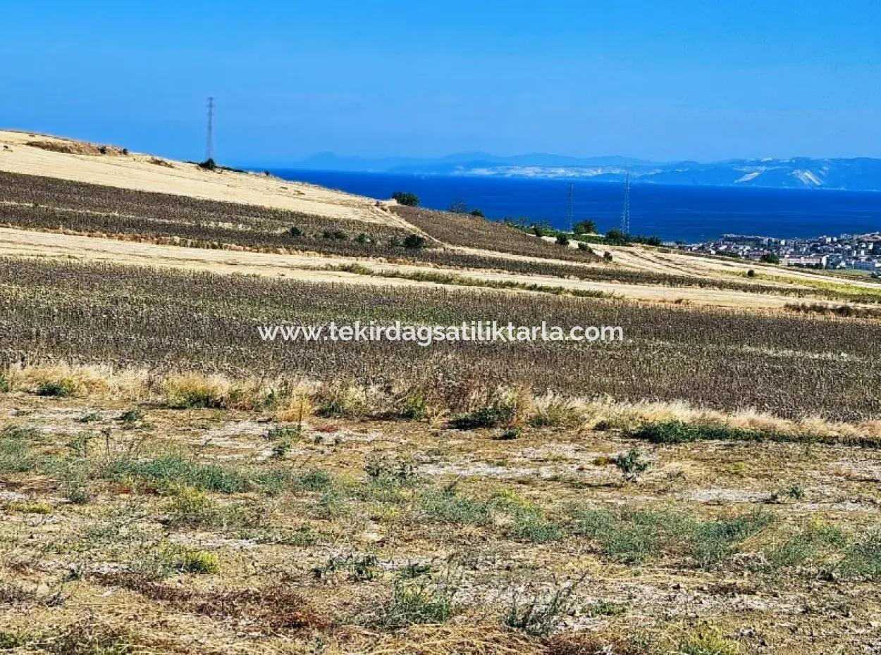 Asyaport Limanı Mevcut İmar Planı İçinde ( Ticari & Sanai ) Alanı Bölgedinde Acil Satılık 6.400 M2 Yatırım Fırsatı