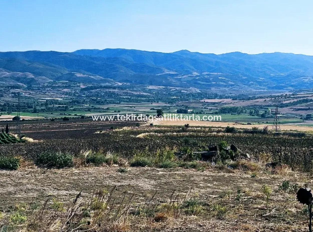 Asyaport Limanı Mevcut İmar Planı İçinde ( Ticari & Sanai ) Alanı Bölgedinde Acil Satılık 6.400 M2 Yatırım Fırsatı