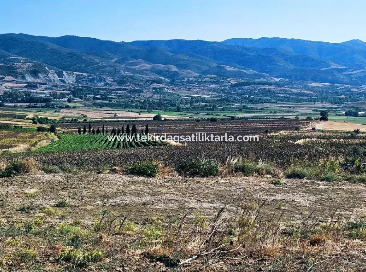 Asyaport Limanı Mevcut İmar Planı İçinde ( Ticari & Sanai ) Alanı Bölgedinde Acil Satılık 6.400 M2 Yatırım Fırsatı