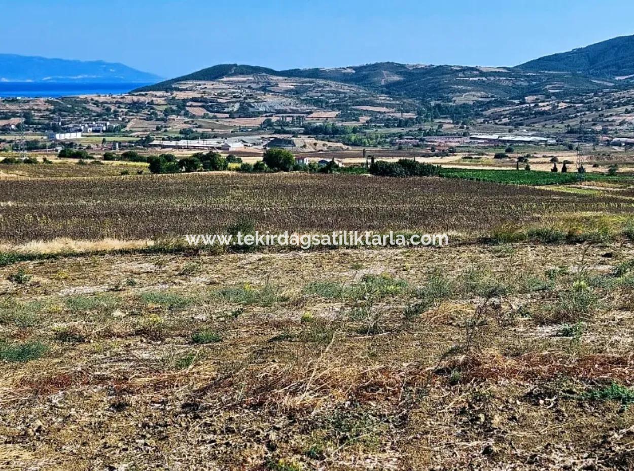 Asyaport Limanı Mevcut İmar Planı İçinde ( Ticari & Sanai ) Alanı Bölgedinde Acil Satılık 6.400 M2 Yatırım Fırsatı