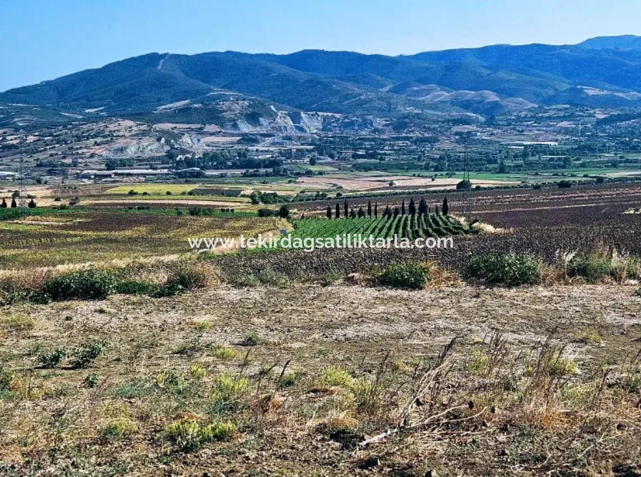 Asyaport Limanı Mevcut İmar Planı İçinde ( Ticari & Sanai ) Alanı Bölgedinde Acil Satılık 6.400 M2 Yatırım Fırsatı