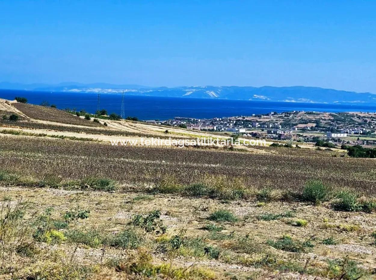 Asyaport Limanı Mevcut İmar Planı İçinde ( Ticari & Sanai ) Alanı Bölgedinde Acil Satılık 6.400 M2 Yatırım Fırsatı