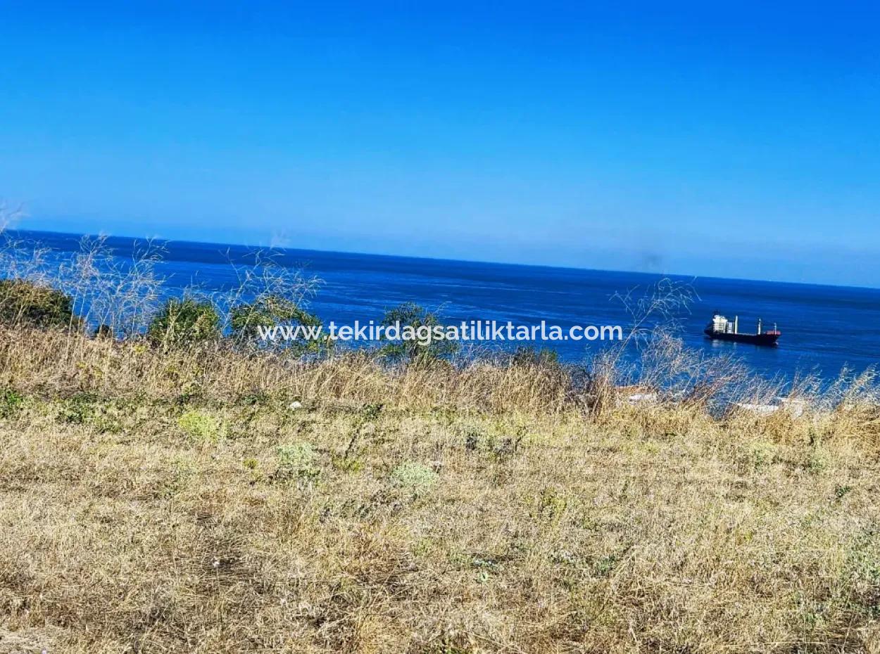 Tekirdağ Barbarosta Acil Satılık Full Deniz Manzaralı Müstakil Ev Yapmaya Uygun Kupon Arsa