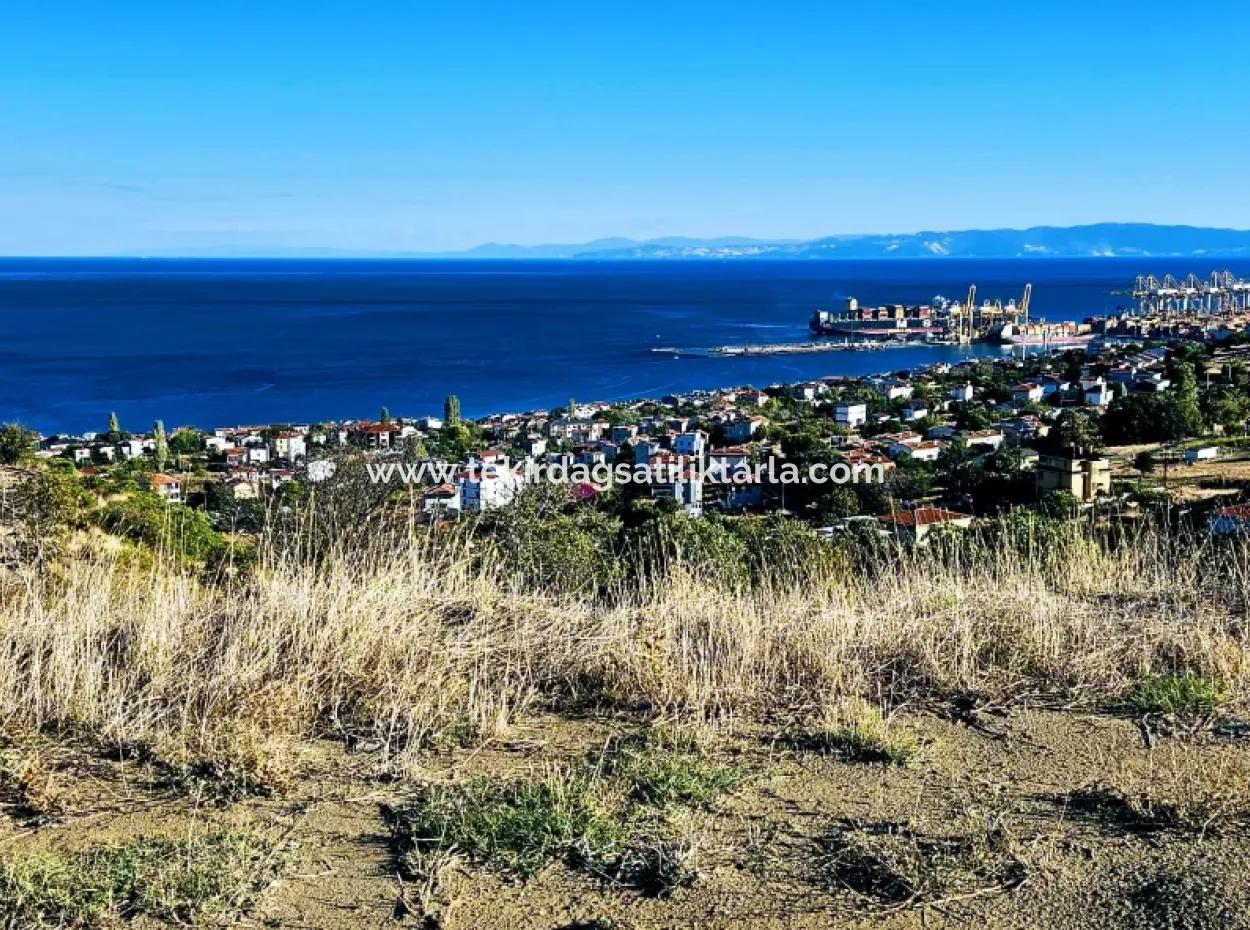 Tekirdağ Süleymanpaşa Barbaros Mahallesinde Muhteşem Deniz Ve Doğa Manzaralı Satılık 532 M2 Köşe Arsa
