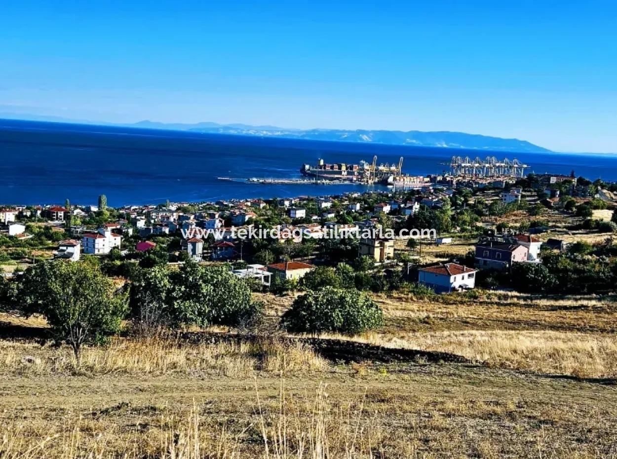 Tekirdağ Süleymanpaşa Barbaros Mahallesinde Muhteşem Deniz Ve Doğa Manzaralı Satılık 532 M2 Köşe Arsa