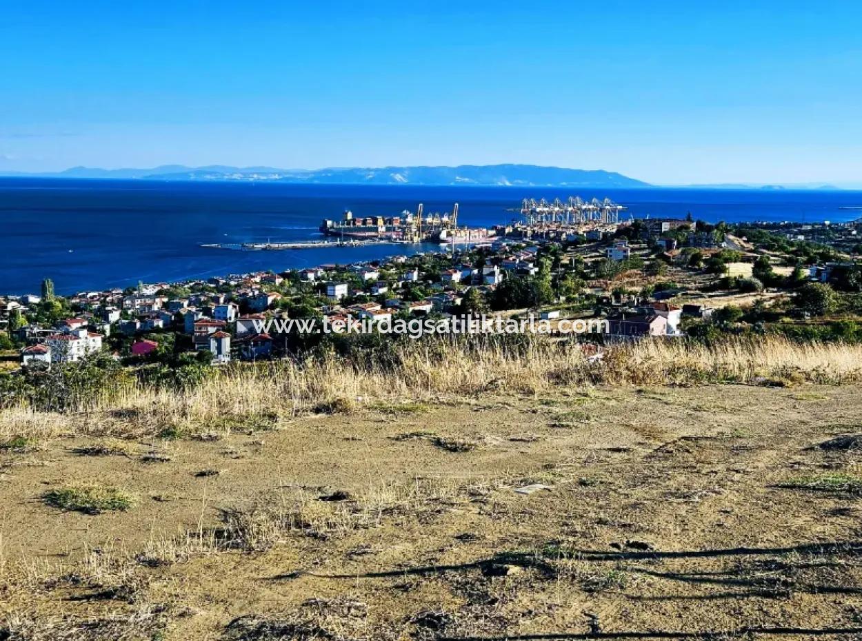 Tekirdağ Süleymanpaşa Barbaros Mahallesinde Muhteşem Deniz Ve Doğa Manzaralı Satılık 532 M2 Köşe Arsa