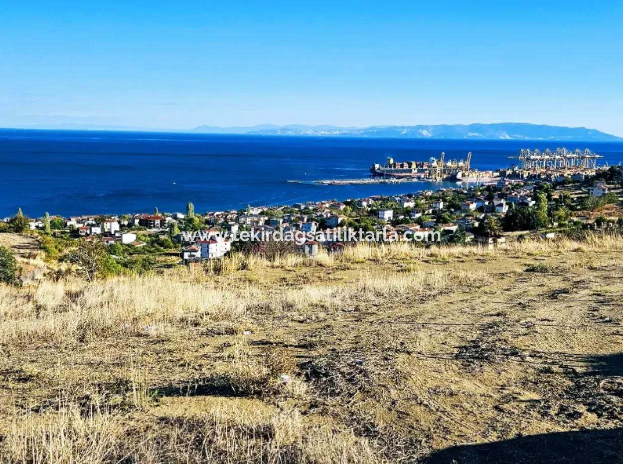 Tekirdağ Süleymanpaşa Barbaros Mahallesinde Muhteşem Deniz Ve Doğa Manzaralı Satılık 532 M2 Köşe Arsa