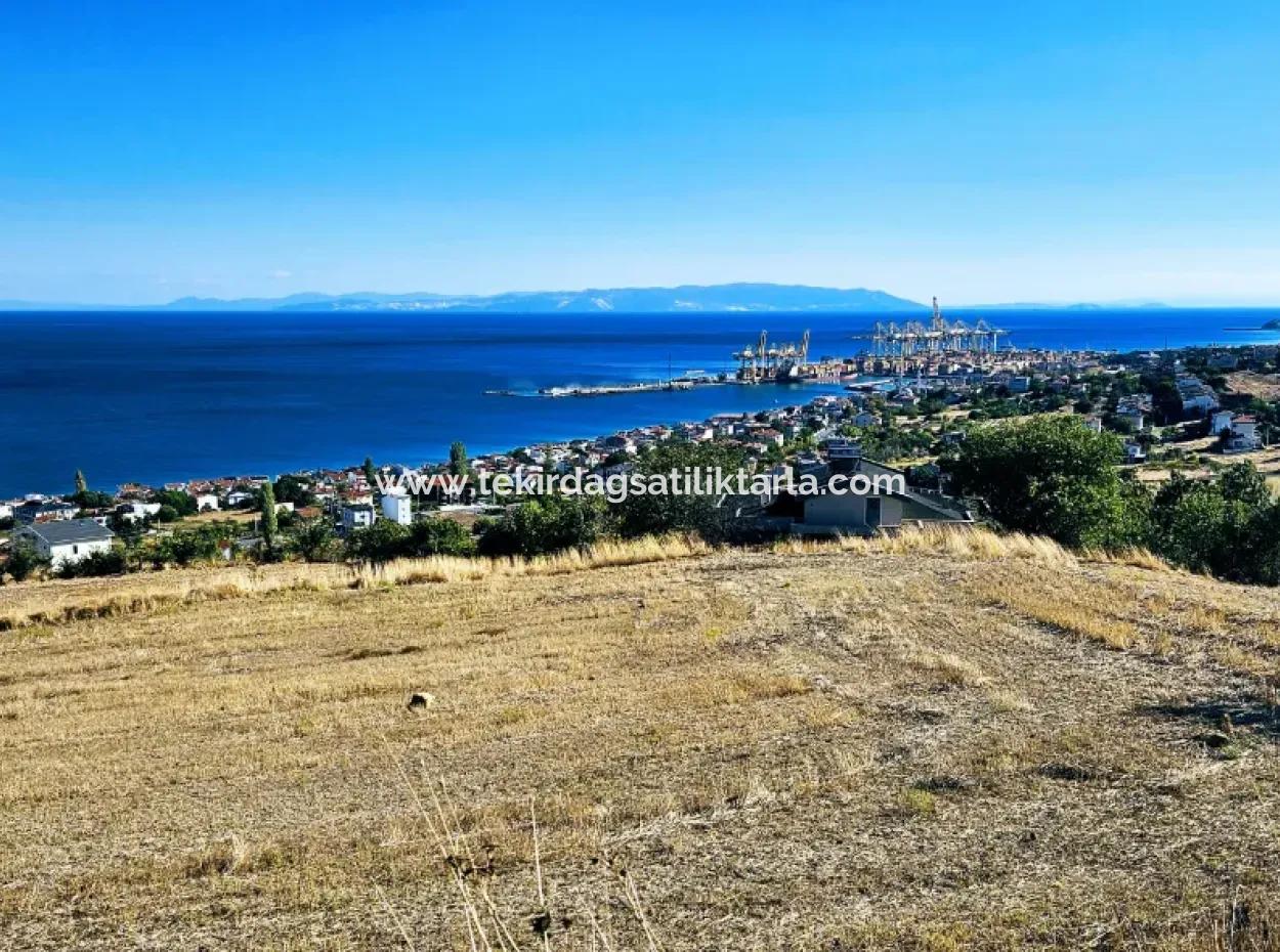 Tekirdağ Barbarosta Acil Satılık Full Deniz Manzaralı 25 Dairelik Kupon Yer