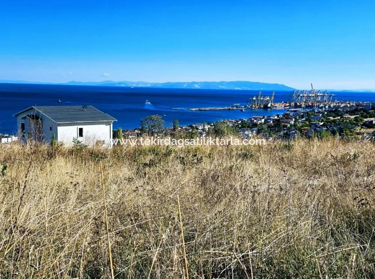 Tekirdağ Barbarosta Acil Satılık Full Deniz Manzaralı 25 Dairelik Kupon Yer
