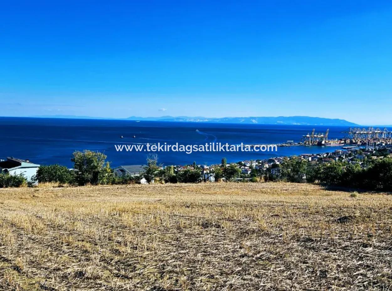 Tekirdağ Barbarosta Acil Satılık Full Deniz Manzaralı 25 Dairelik Kupon Yer