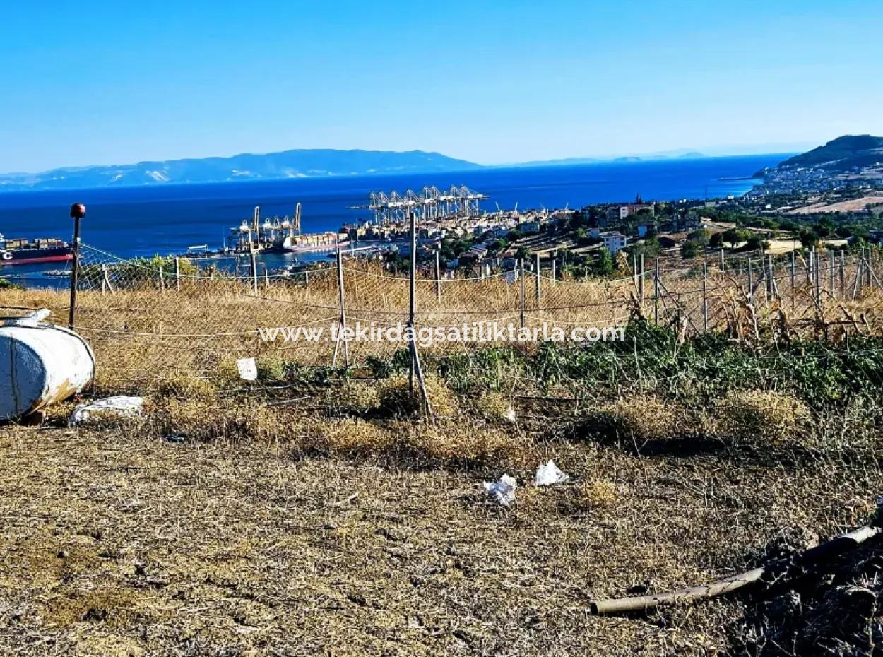 Tekirdağ Barbarosta Acil Satılık Full Deniz Manzaralı 765 M2 Kelepir Arsa